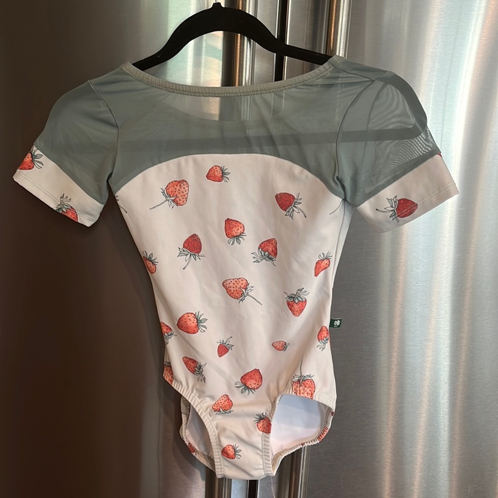 Luckyleo Dancewear with mesh top and stawberry motif.  Adorable!